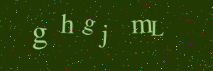 Validation image